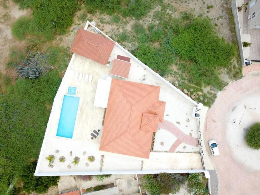 Jolie Villa Entire Villa In Noord, Aruba Palm Beach Exterior foto